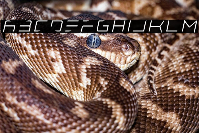 Lethal Injector Thin Italic Example 2