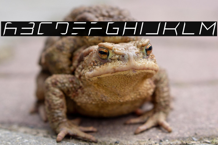 Lethal Injector Thin Italic Example 3