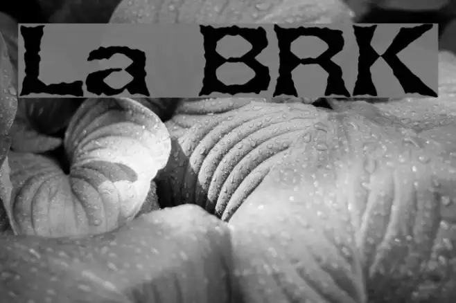 Lethargic BRK Example 2