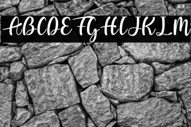 Letizia Font examples