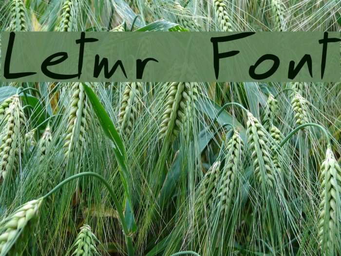 Letmr Font examples