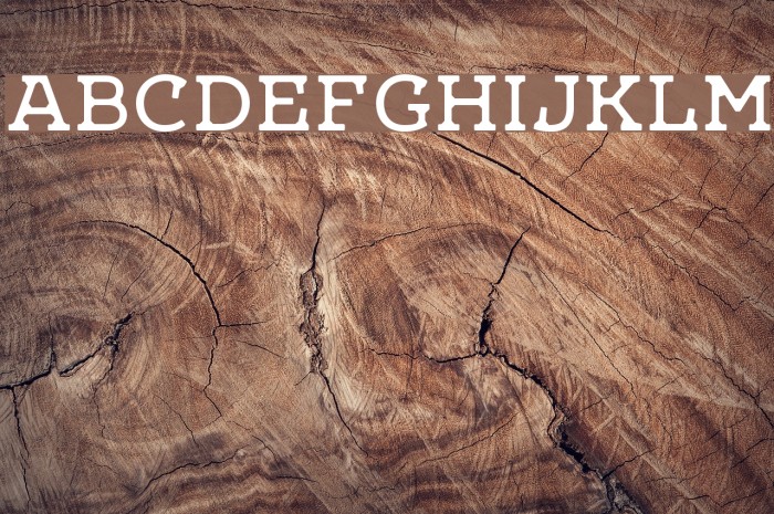 LetoOneDefect Example 3