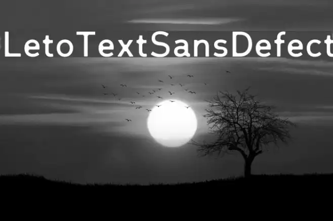 LetoTextSansDefect Example 2