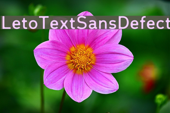 LetoTextSansDefect Font examples