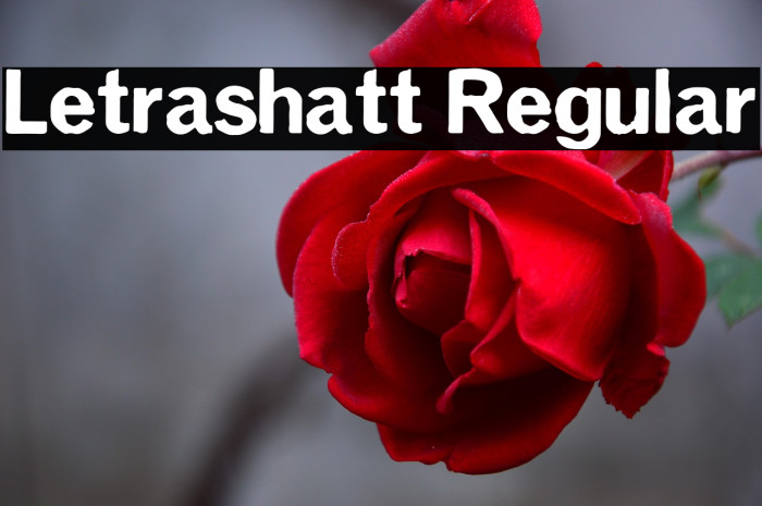 Letrashatt Regular Example 2