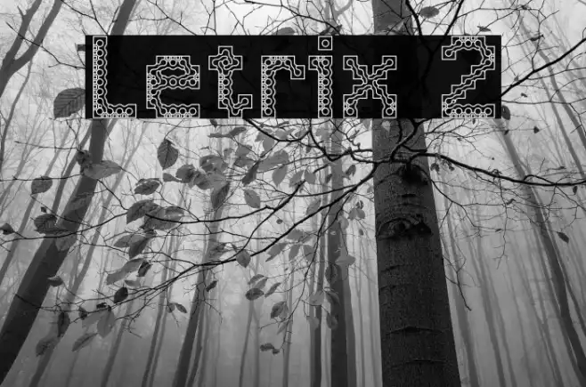 Letrix 2 Example 2