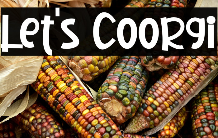 Let's Coorgi Example 1