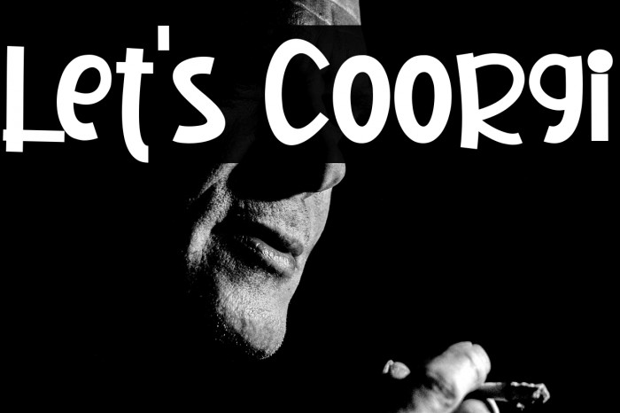 Let's Coorgi Example 3