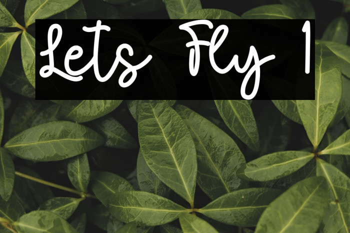 Lets Fly 1 Schriftart examples