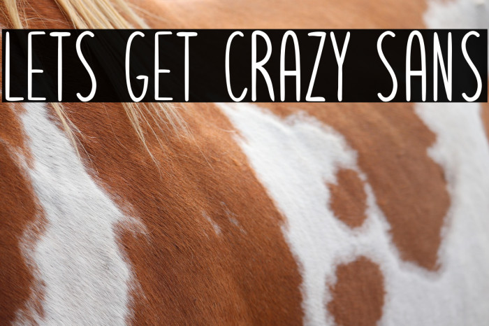 Lets get crazy sans Example 1