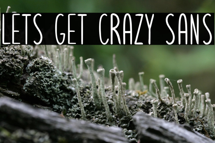 Lets get crazy sans Example 2