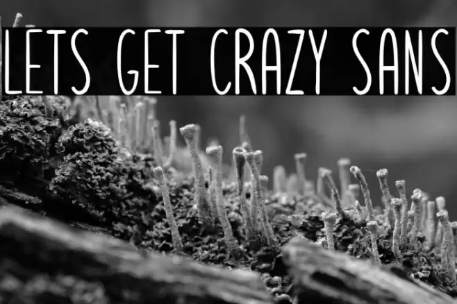 Lets get crazy sans Polices examples
