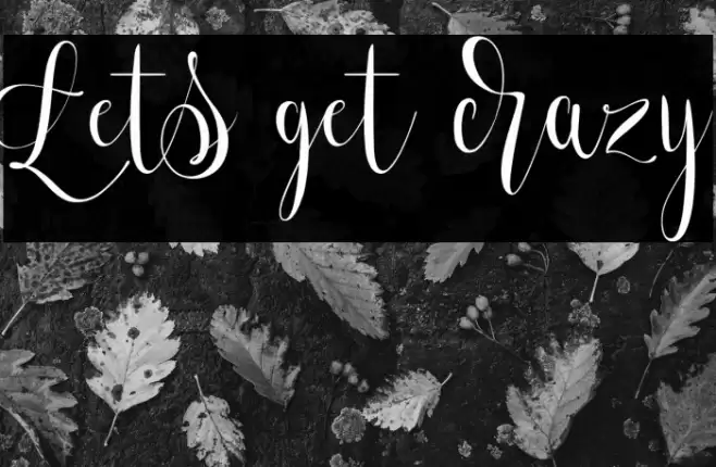 Lets get crazy Font examples