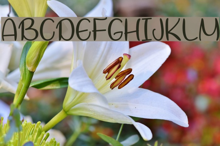 LetsBakeMuffins Example 3