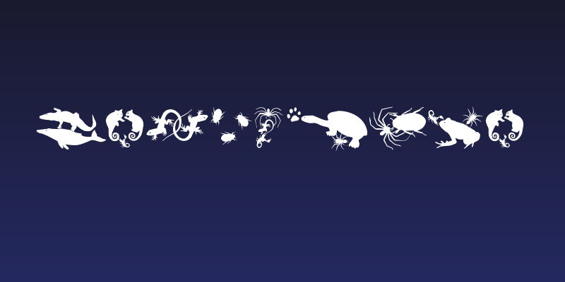 LetsDance Social Header