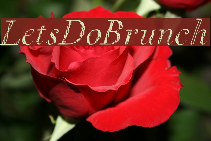 LetsDoBrunch Font examples