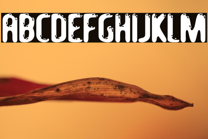 LetsEat-Regular Example 3