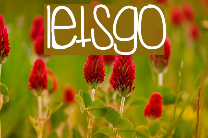 LetsGo フォント examples