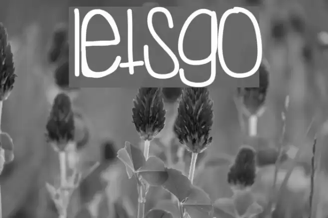 LetsGo Font examples