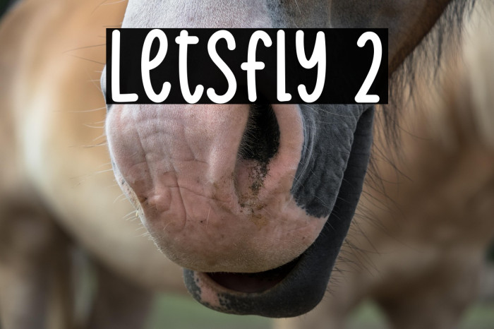Letsfly 2 Schriftart examples