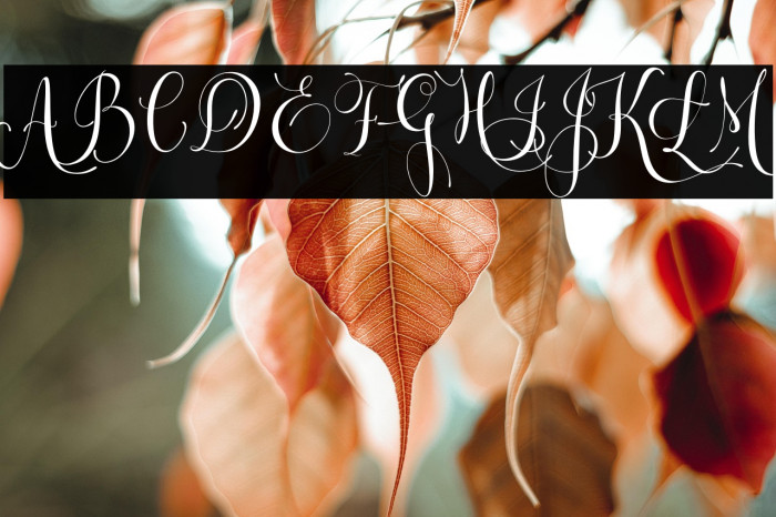 Letsgetcrazy Example 1