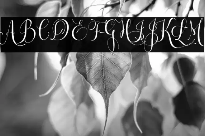 Letsgetcrazy Font examples