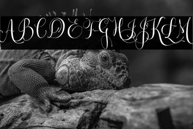 Letsgetcrazy Font examples