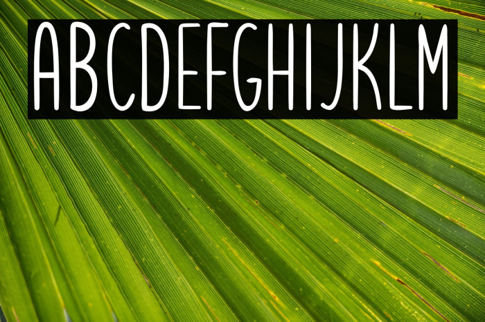 Letsgetcrazysans Example 1