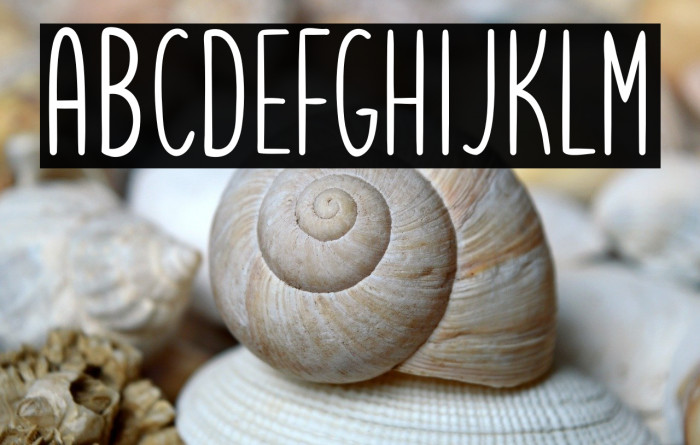 Letsgetcrazysans Example 2