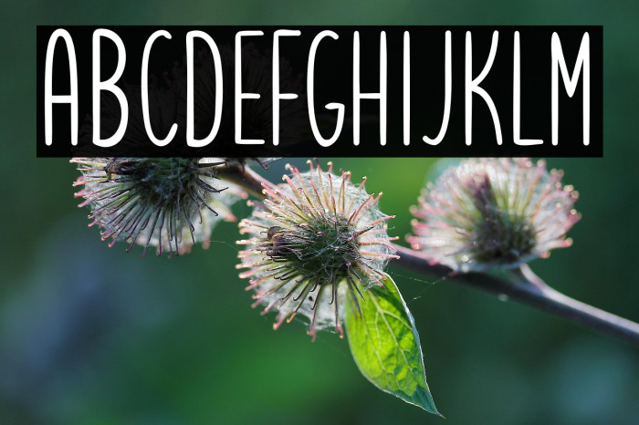 Letsgetcrazysans Example 3