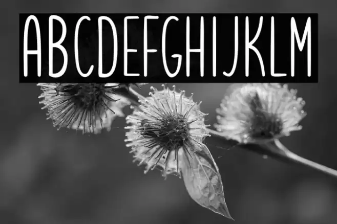 Letsgetcrazysans Font examples