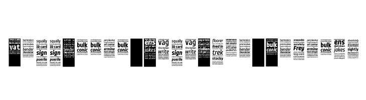 LettError DataMine Records  Frei Schriftart Herunterladen