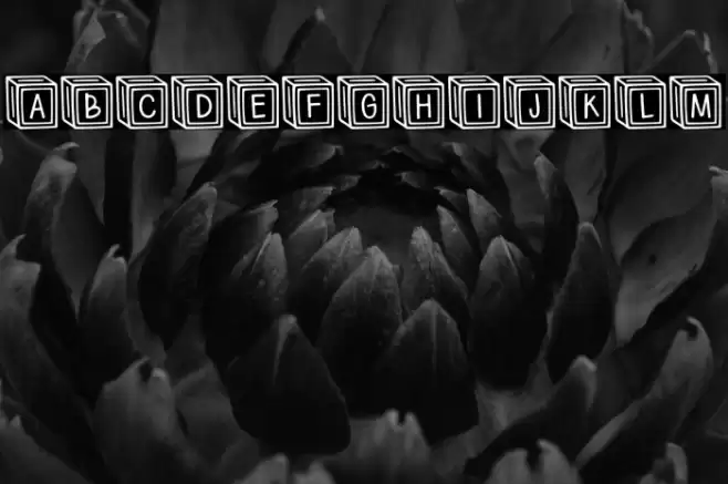 Letter ^  Blocks Regular फ़ॉन्ट examples