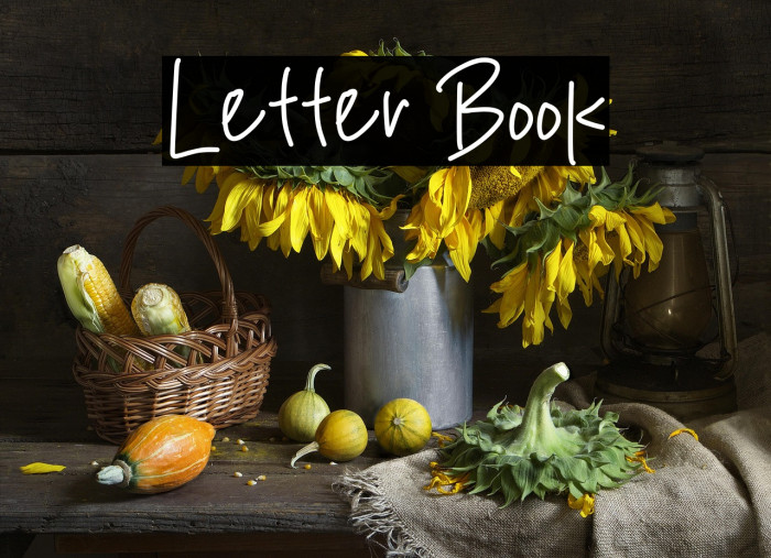 Letter Book Example 3