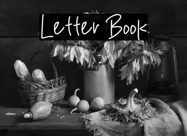 Letter Book Font examples