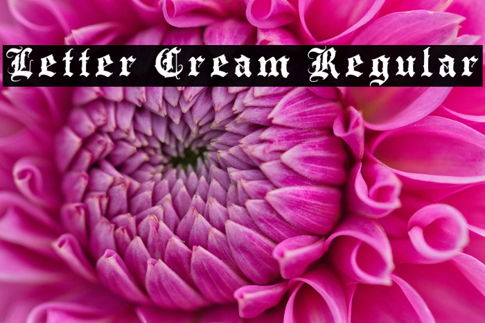 Letter Cream Regular Example 1