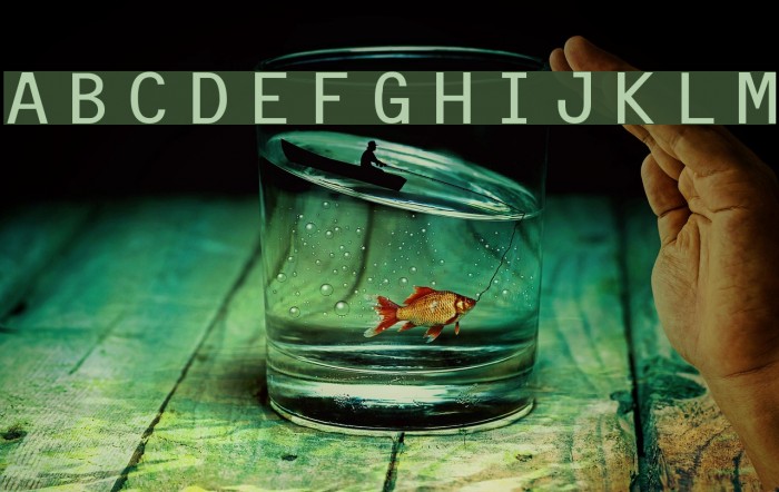 Letter Gothic Line Font examples