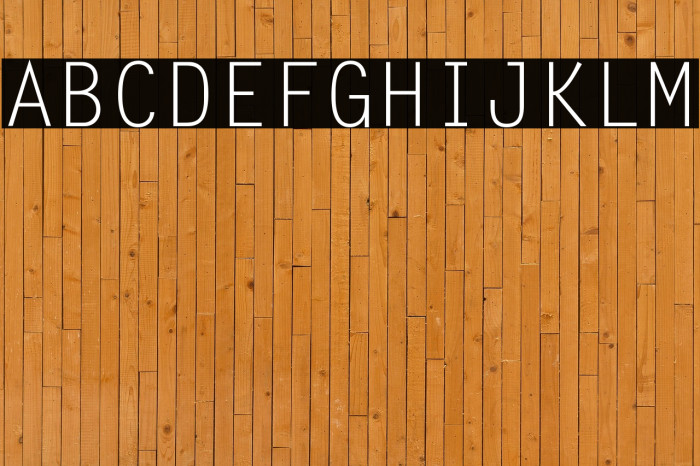 Letter Gothic Std(RUS BY LYAJKA Example 1