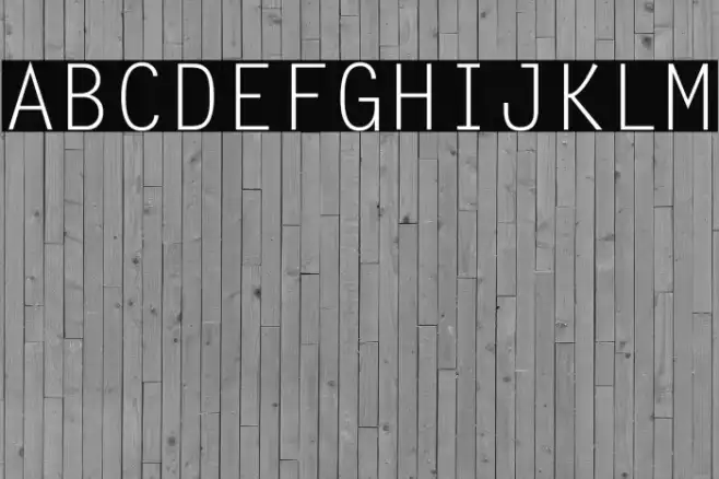 Letter Gothic Std(RUS BY LYAJKA Example 1