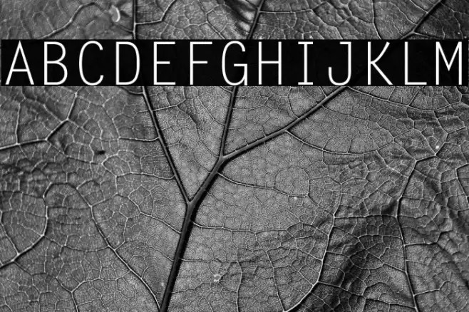 Letter Gothic Std(RUS BY LYAJKA Example 2
