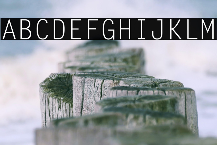 Letter Gothic Std(RUS BY LYAJKA Example 3