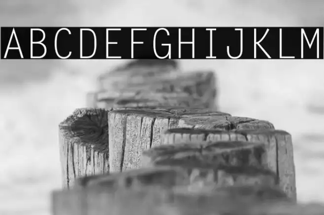 Letter Gothic Std(RUS BY LYAJKA Example 3