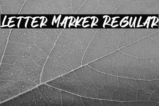 Letter Marker Regular Example 1