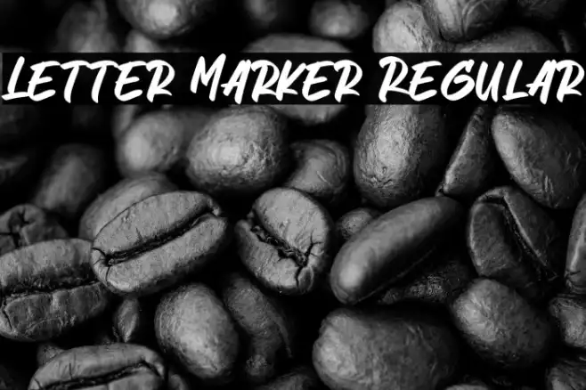 Letter Marker Regular Example 2