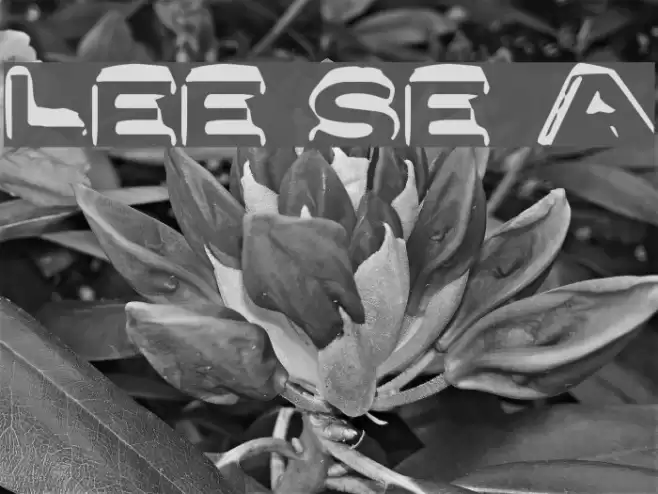 Letter Set A Font examples