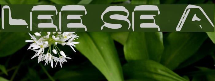 Letter Set A Fonte examples