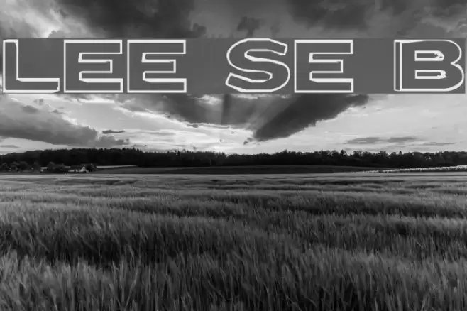 Letter Set B Font examples