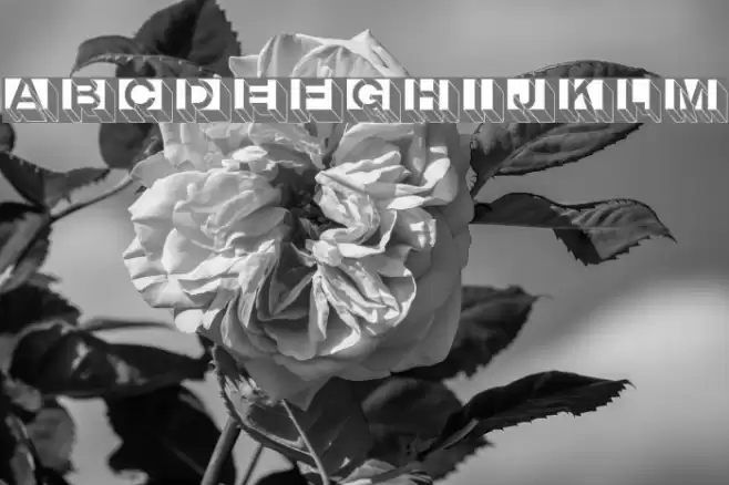 LetterBuildings Font examples