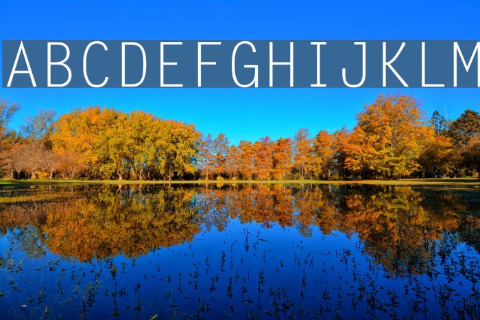 LetterGothic Font examples