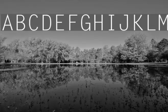 LetterGothic Font examples